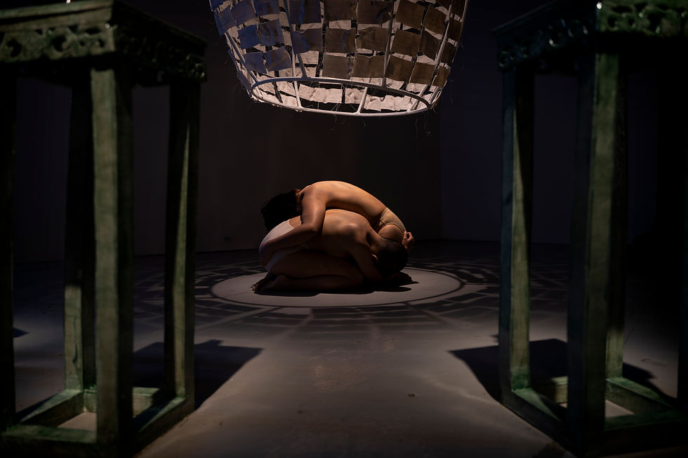 Image by Chani Bockwinkel