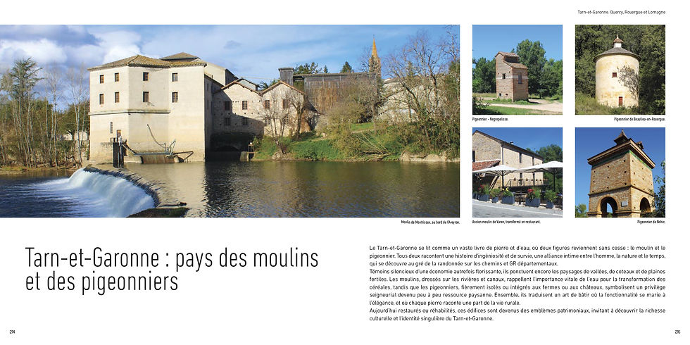 Miniature : TARN-ET-GARONNE. Quercy, Rouergue et Lomagne