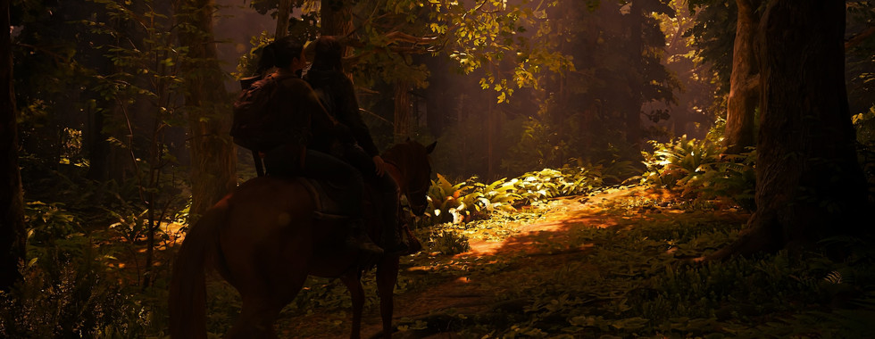 The Last of Us Part II views
