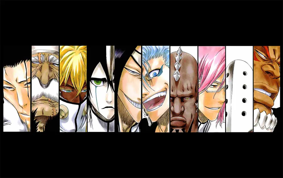 Bleach the 10 Espadas