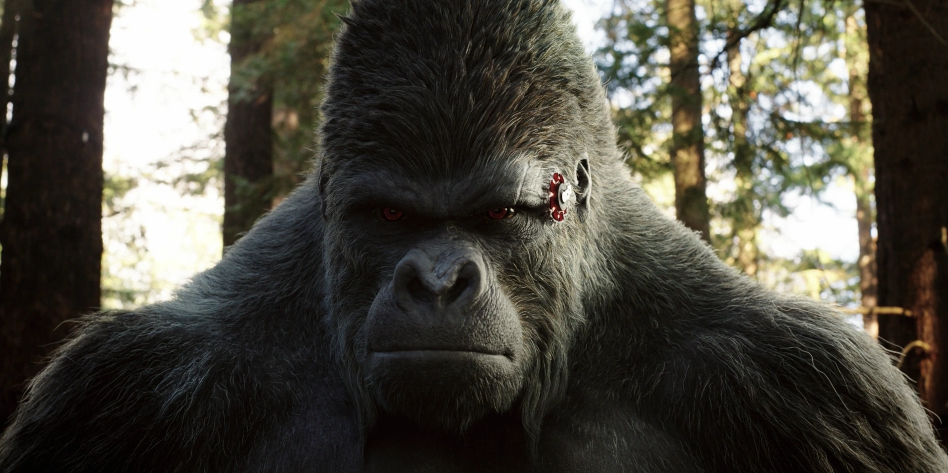Gorilla Grodd