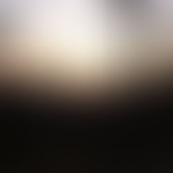 Understanding the Complex Relationship Between Mental Health and Addiction