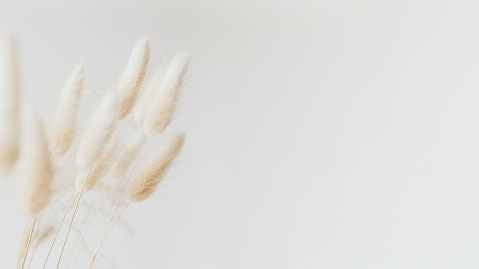 dried-bunny-tail-grass-on-a-light-background-2025-02-10-00-17-25-utc.jpg