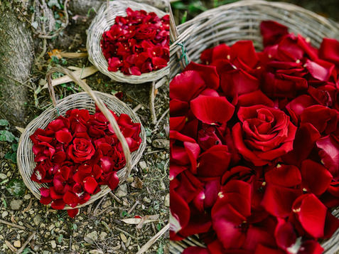 Pétales de roses à lancer