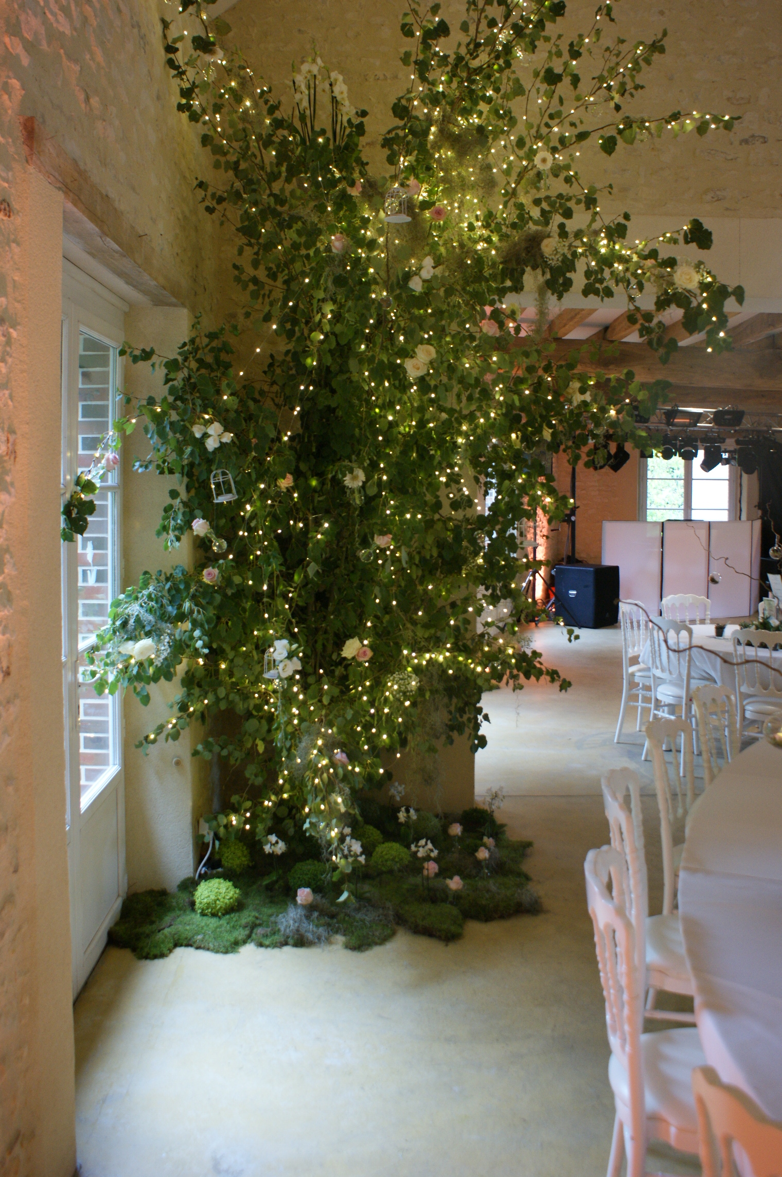 Création d'un arbre