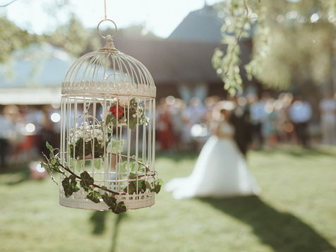 Location de caisses en bois, cages, escabeau, dame jeanne, pot à lait, pour votre mariage à Auxerre dans l'Yonne.
Location de matériel pour mariage dans l'Yonne