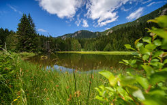 Смолянски езера