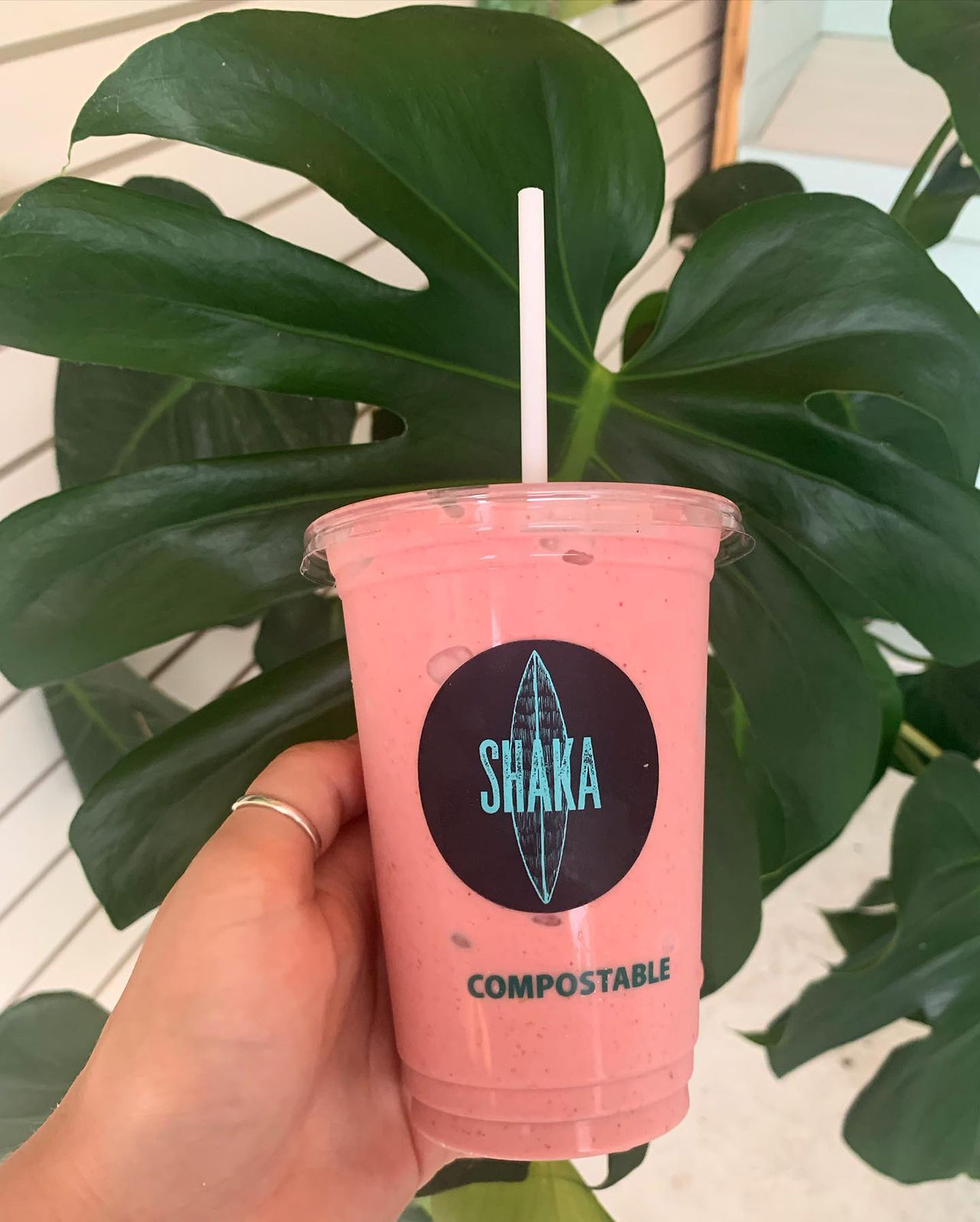 Shaka for fresh smoothies, bowls, salads, and avocado toast