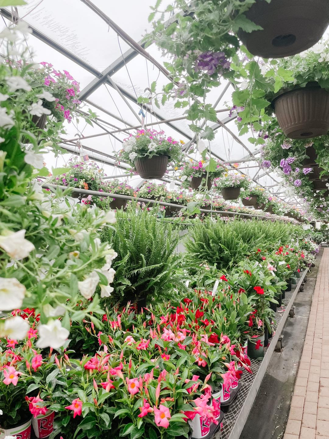 Stevensville Garden Gallery Your Floral and Lifestyle Haven