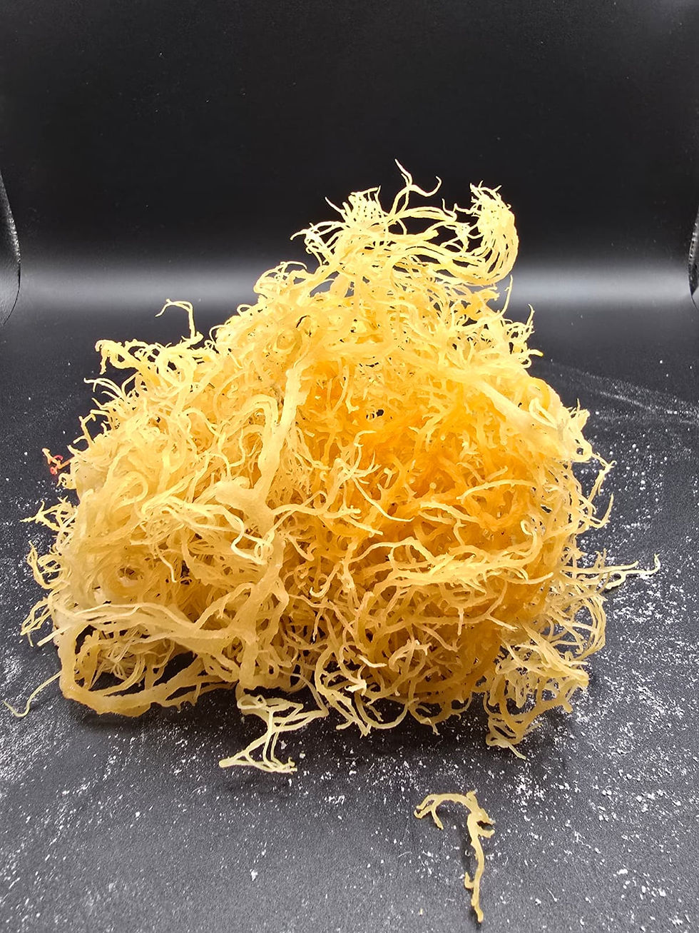 seamoss gold raw skin hair digestion organic authentic