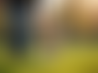 Discover Expert Dog Training Services Nearby