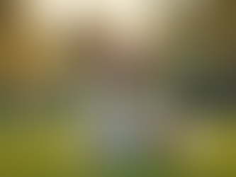 Effective Dog Behavioural Training Techniques