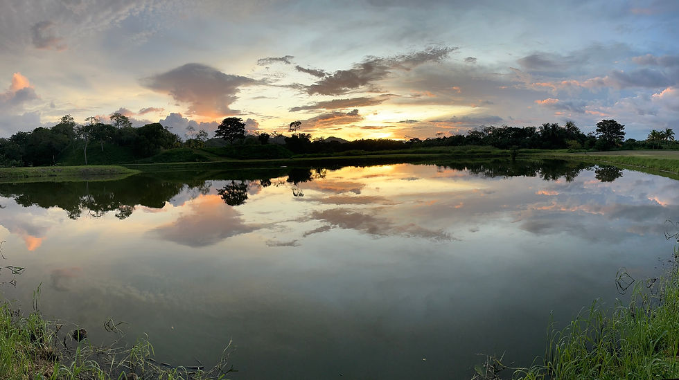 A view of the North side of Tiger Lake at Lago Bay