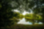 Lago Bay Travel.JPG