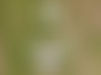 Transportation to Santa Catalina Panama