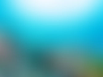 Top Ten Bucket List for the best diving places on Earth