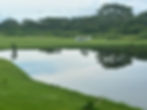 Lago Bay Travel.jpg