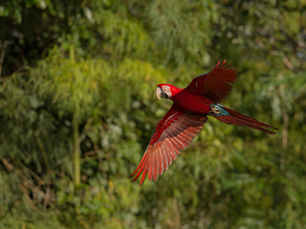 Ecotourism in Panama