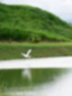 LAGOBAY-09 2.JPG
