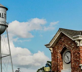 alt="Dank City Delivery logo – Sacramento cannabis delivery brand"