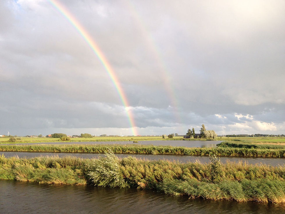 Veelkleurig uitzicht vanaf het terras