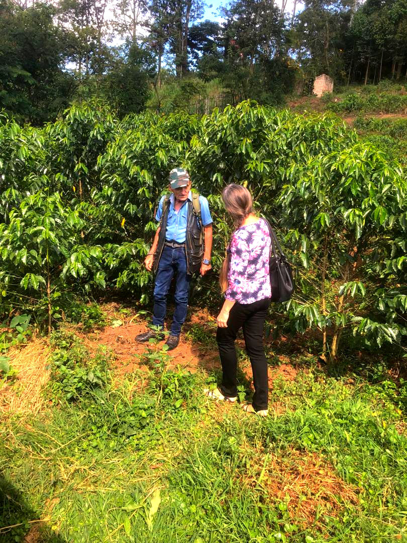 WhatsApp Image 2025-10-29 at 12.08.29.jpeg