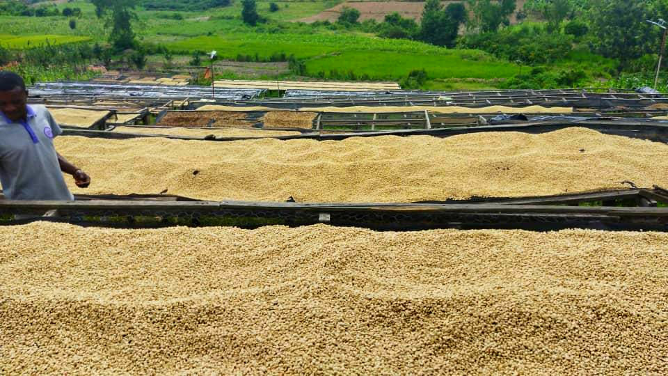 WhatsApp Image 2025-10-31 at 20.29.21.jpeg