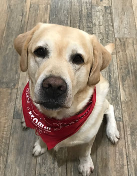 IMG_8026 Cooper.jpeg