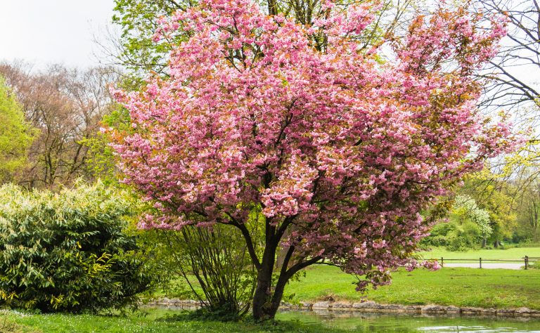 Ottawa’s Commissioners Park, Ottawa