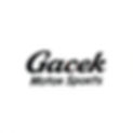 Have _Gacek Motor Sports_ painted on a white background.jpg
