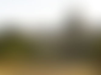 L'actu 1er trimestre 2025 : 660 cas recensés dans la base de données, étude épidémiologique K-VIROGREF