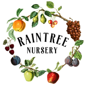 CIRCLE_Raintree Nursery Full Logo Small (1).png