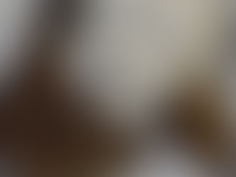 The Ultimate No Churn, Vanilla Ice-Cream