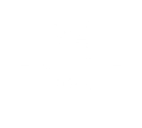 shine icon.png