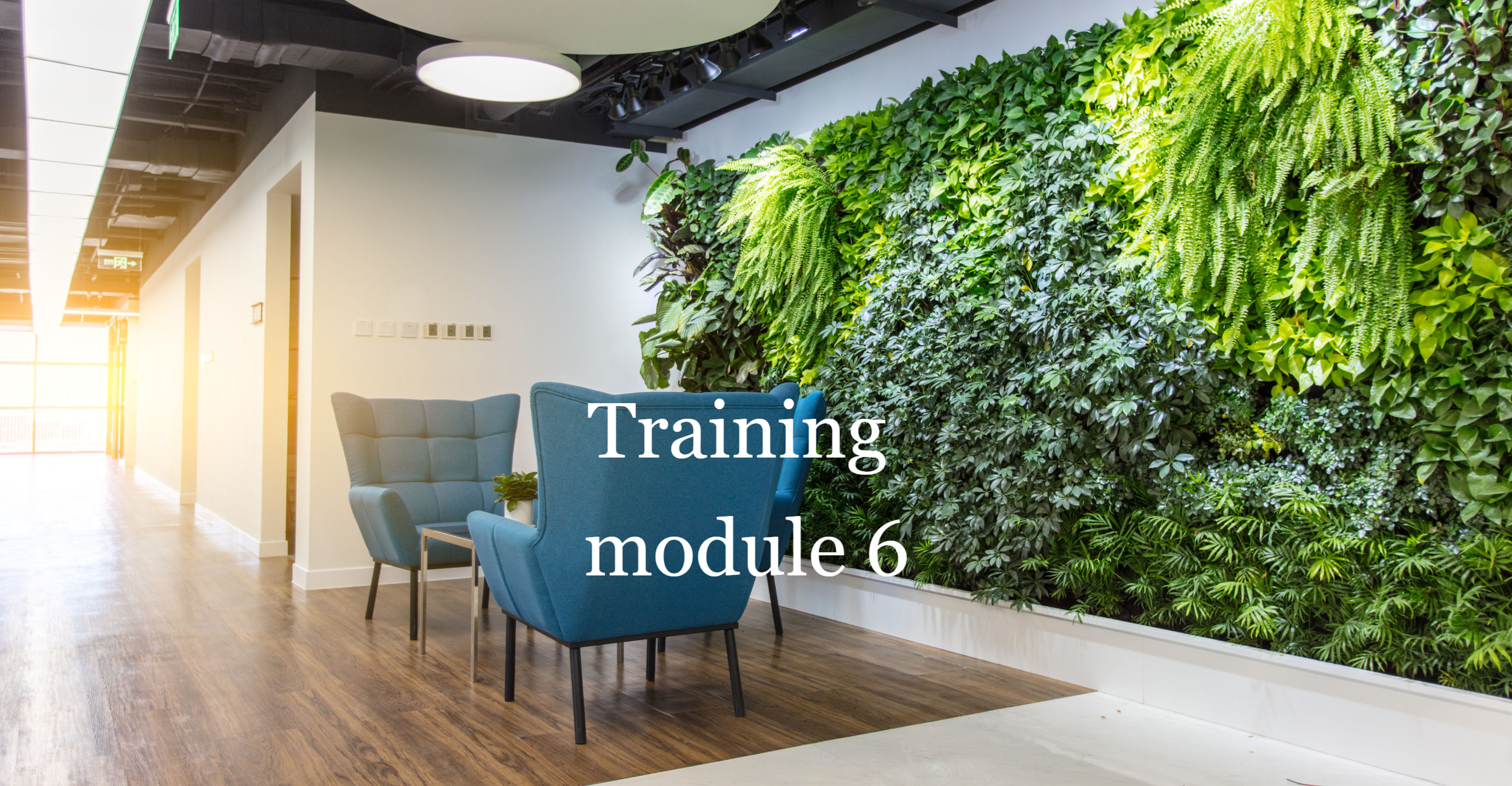 MODULE 6 Design and installation of the green wall
