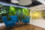 Rest area at the front desk of the modern office, comfortable sofas and green plants.jpg