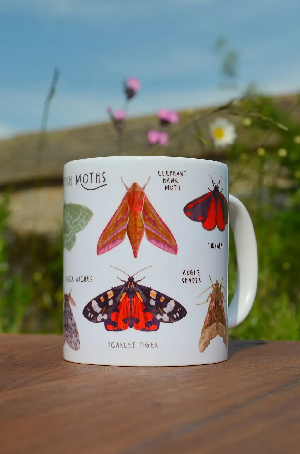 british moths mug front view