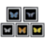 Thumbnail: 3D Paintings of butterflies in frames