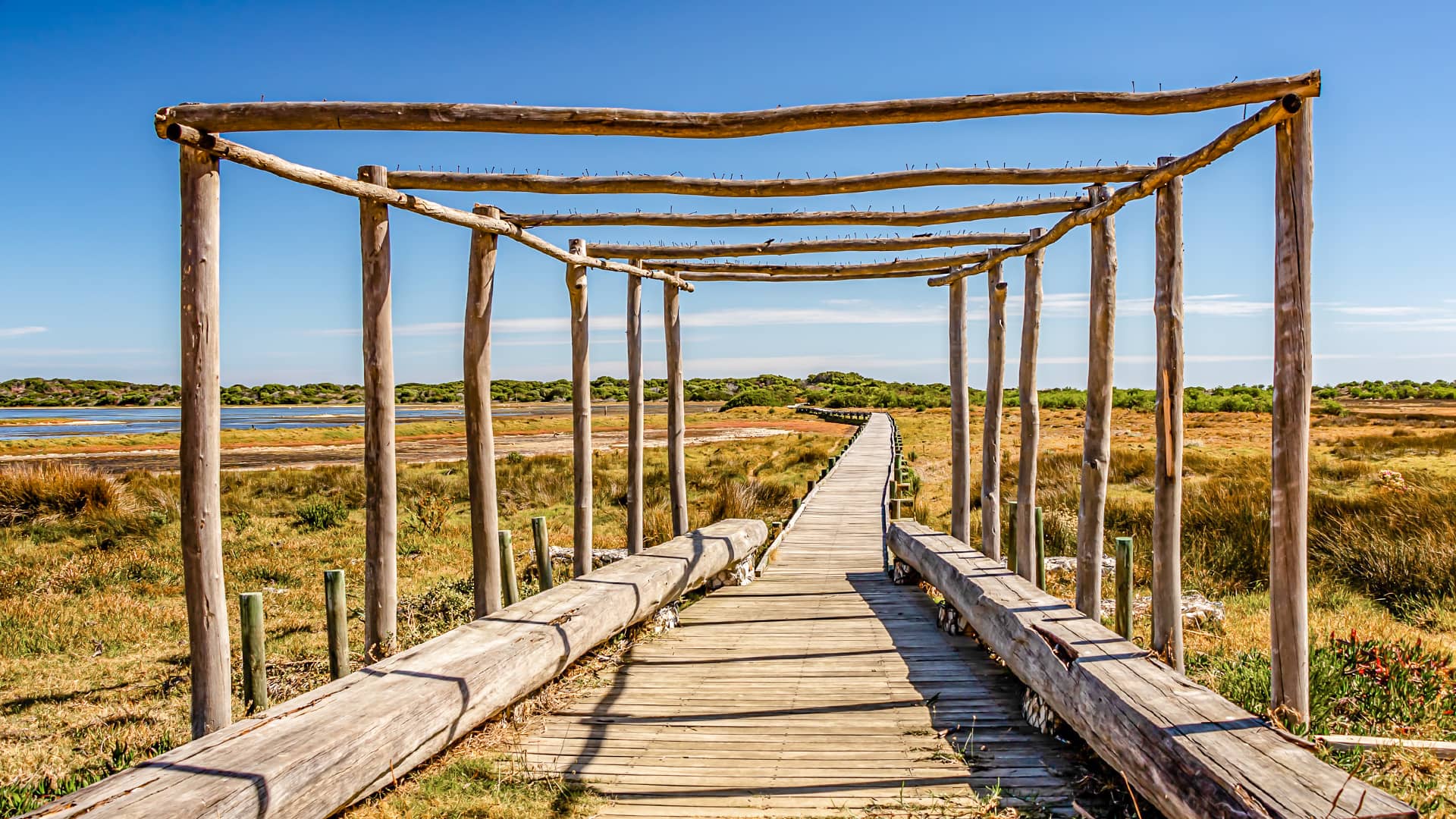 A wooden boardwalk with rustic pergola extends through grassy wetlands under a clear blue sky. It creates a serene, inviting path into nature. South Africa, Cape Wilderness, Nature, Wildlife, Plants, Animals, Overberg, Whale Coast.