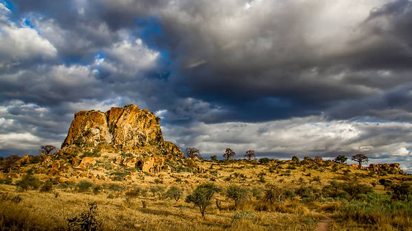 The Mapungubwe National Park lies in the far northeast of the country. It is not known for its wildlife safari’s but more for its spectacular landscape that is dominated by sandstone formations. The summer months offer great contrast between the orange and red colored rock formations and the green colored vegetation. The center piece of the park is Mapungubwe Hill. Although safari may not be the prime attraction, there are quite a lot of animals to be seen here like the Elephant, Giraffe, Buffalo, White Rhino, Gemsbok, Hyena, Leopard and Lion.