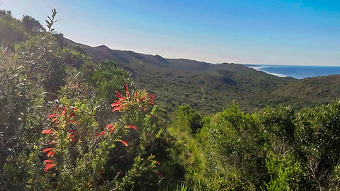 Goukamma Nature Reserve