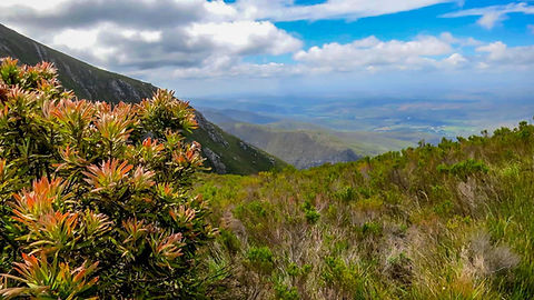 Boosmansbos Wilderness Area