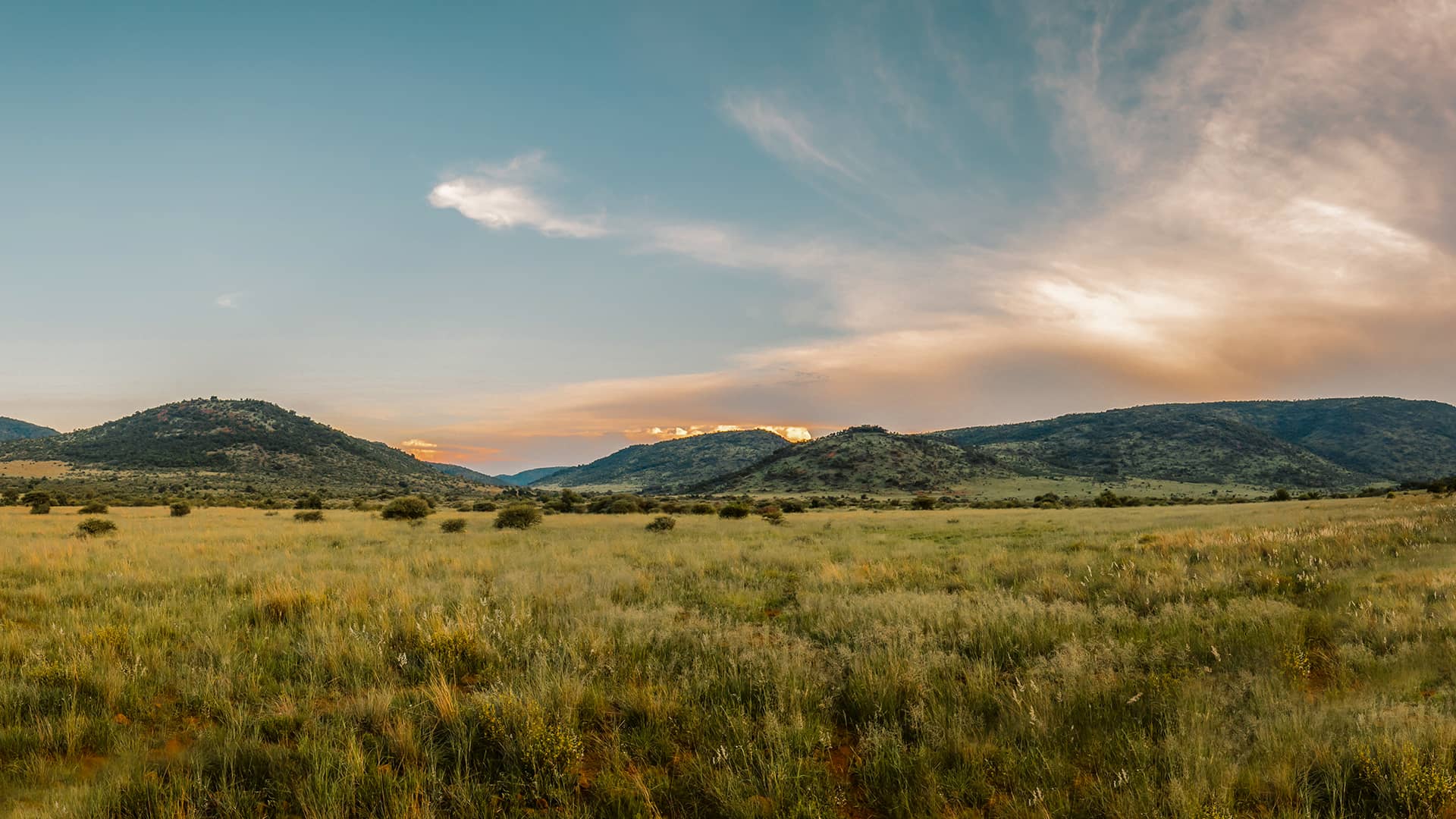 From Kruger to Cape Town and Namaqualand to Kwazulu-Natal, South Africa is home to the most stunning landscapes and diverse flora and fauna in the world. The nature reserves you can find across the country showcase this wide range of diversity. Often these reserves offer fantastic outdoor activities like hiking, swimming, canoeing and mountain biking.