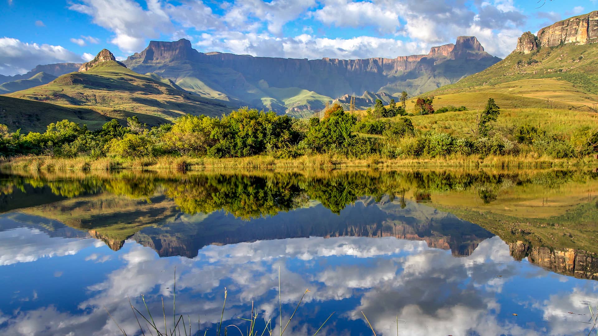 Scenic view of a mountain range with green hills and clear blue sky reflected in a calm lake. Lush greenery and clouds create a serene atmosphere. South Africa, Cape Wilderness, Nature, Wildlife, Plants, Animals, Drakensberg, Amphitheatre, Royal Natal National Park.