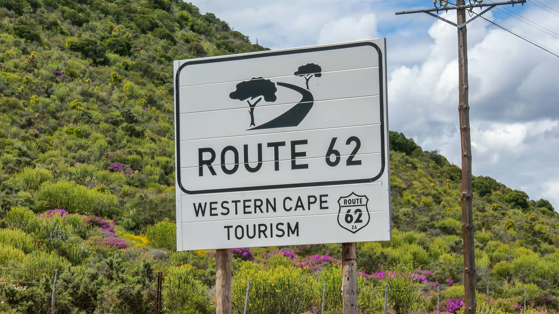 Sign reading "Route 62, Western Cape Tourism" stands before a lush green hillside with purple flowers. A telephone pole and cloudy sky are visible. South Africa, Cape Wilderness, Nature, Wildlife, Plants, Animals, Little Karoo.
