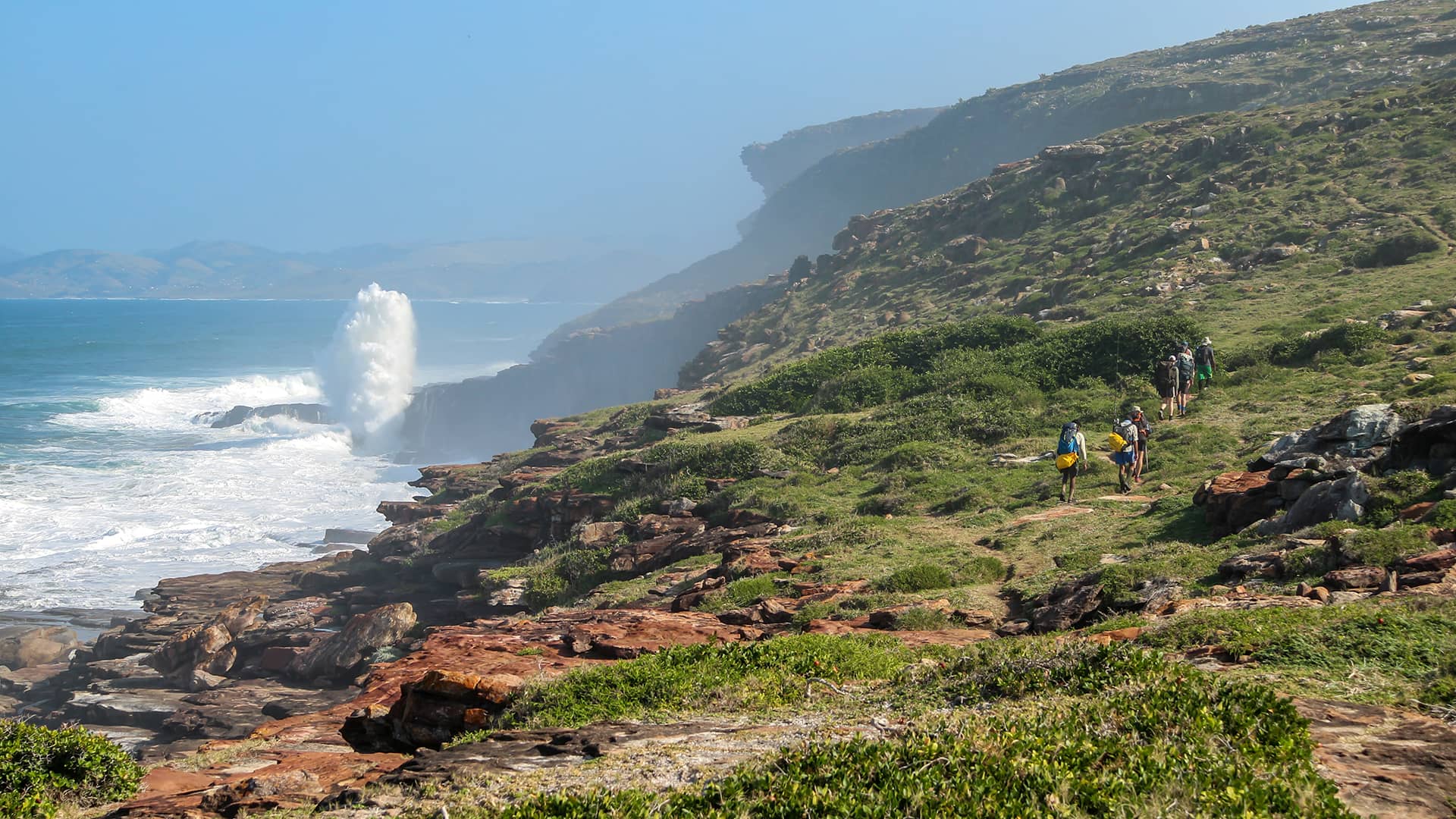 A group of hikers walks along a rocky, green coastal cliff as a wave crashes against the shore. The scene conveys adventure and tranquility. South Africa, Cape Wilderness, Nature, Wildlife, Plants, Animals, Wild Coast.