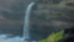 Wildcoast