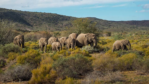 Sanbona Wildlife Reserve