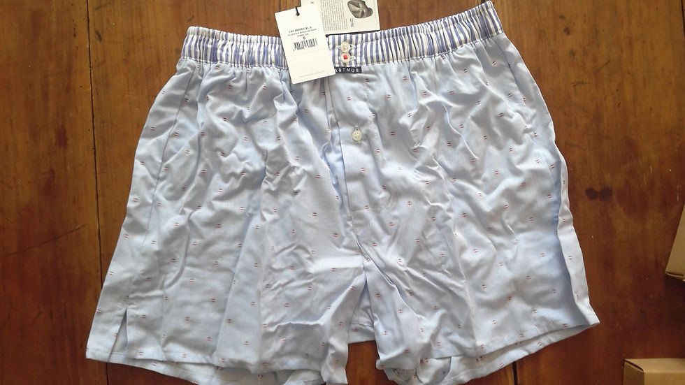 Miniature : Caleçon Arthur Homme Club Ciel Taille S