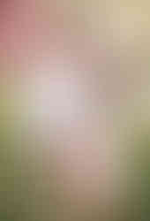 dc engagement photography